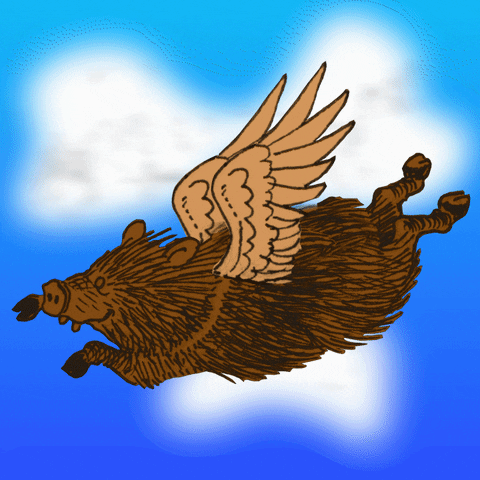Flying Javelina mascot